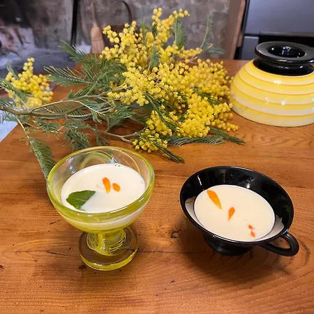 Panzió Sanventura 4*